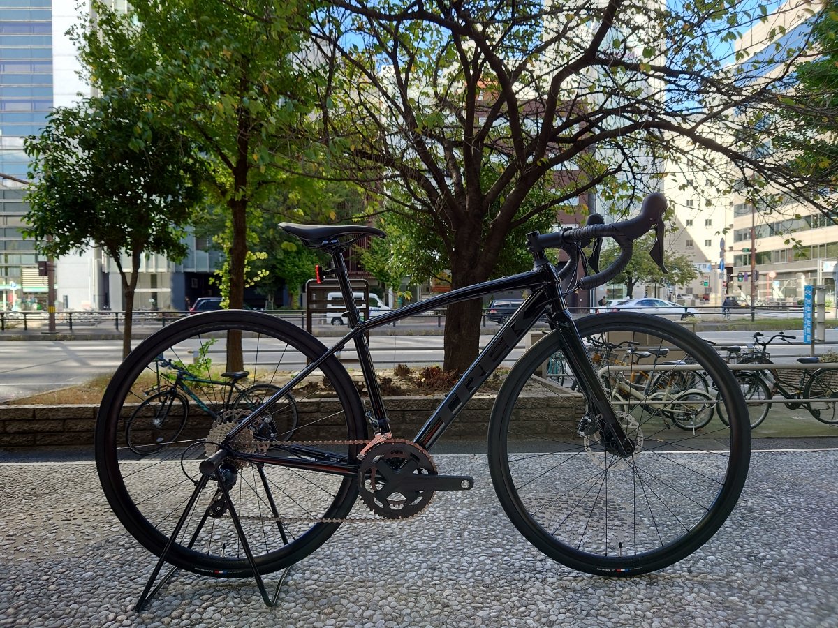TREK DOMANE AL4 GEN3 この車体この色、実はまだまだ沢山ある