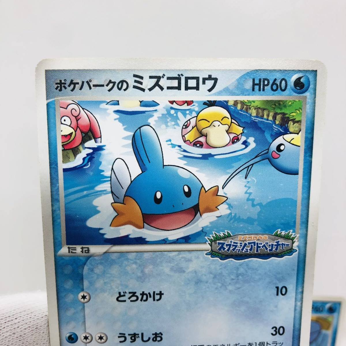ポケモンカード ポケパークのミズゴロウ 2枚セット｜Yahoo!フリマ（旧