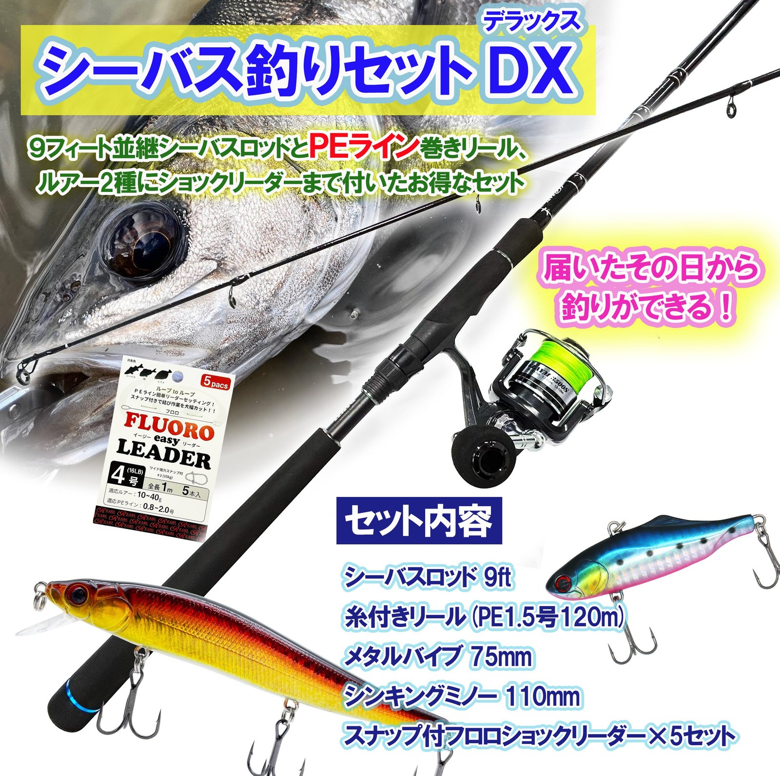 送料無料】シーバス釣りセットDX 9フィート 並継 PE付 竿リールセット
