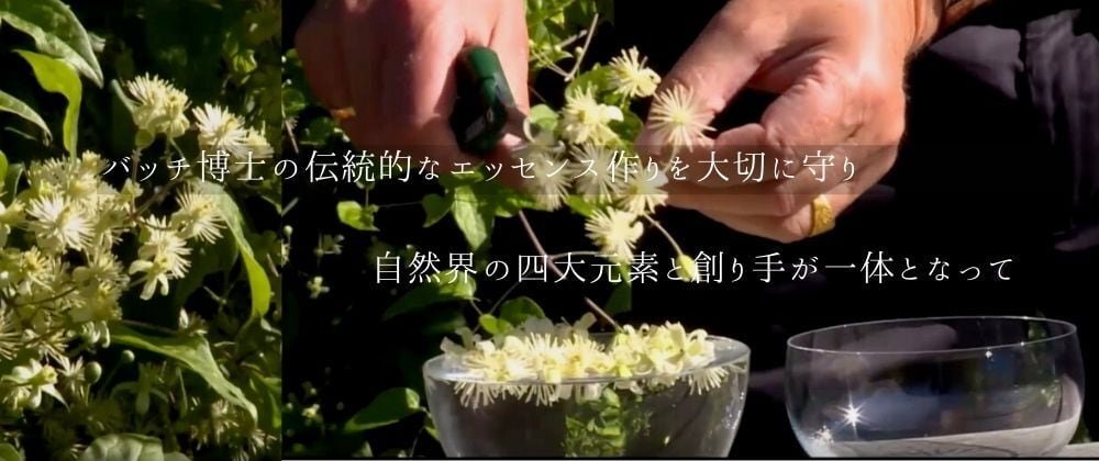 マイキ ヒーリングハーブス・フラワーエッセンス