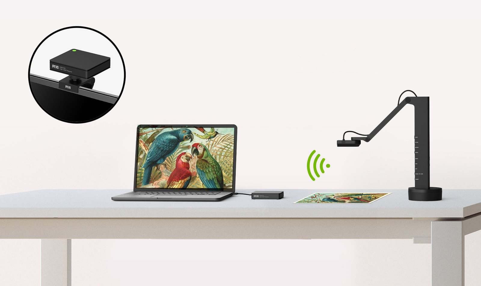 IPEVO VZ-X ULTRA 13MP WIRELESS - Overview – IPEVO US