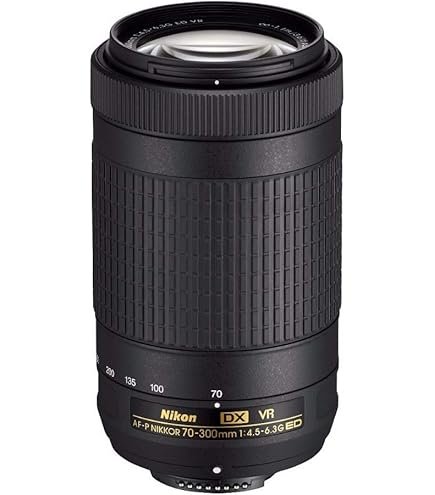 Amazon.com : Nikon 55-200mm f/4-5.6G ED IF AF-S DX VR [Vibration