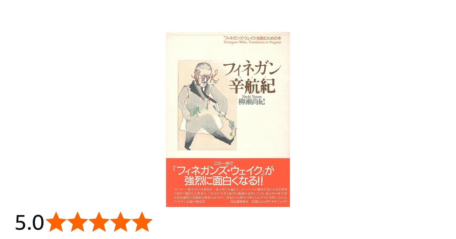 フィネガン辛航記: フィネガンズ・ウェイクを読むための本 | 柳瀬 尚紀